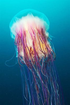 Barrel Jellyfish: An Astounding Creature That Thrives in Both Shallow Waters and Deep Ocean Depths!