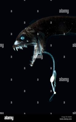  Deep-Sea Delight: Discussing The Delicate Dance Between Bioluminescence And Camouflage Of The Deepwater Dragonfish!